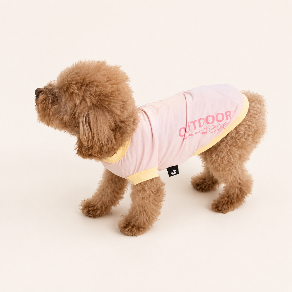 Woofé AirPaw™ Sun Tee 🌞
