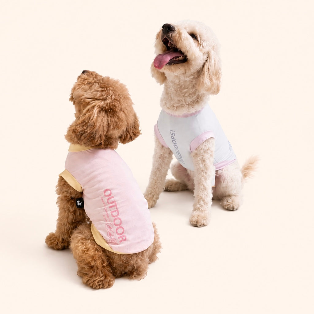 Woofé AirPaw™ Sun Tee 🌞