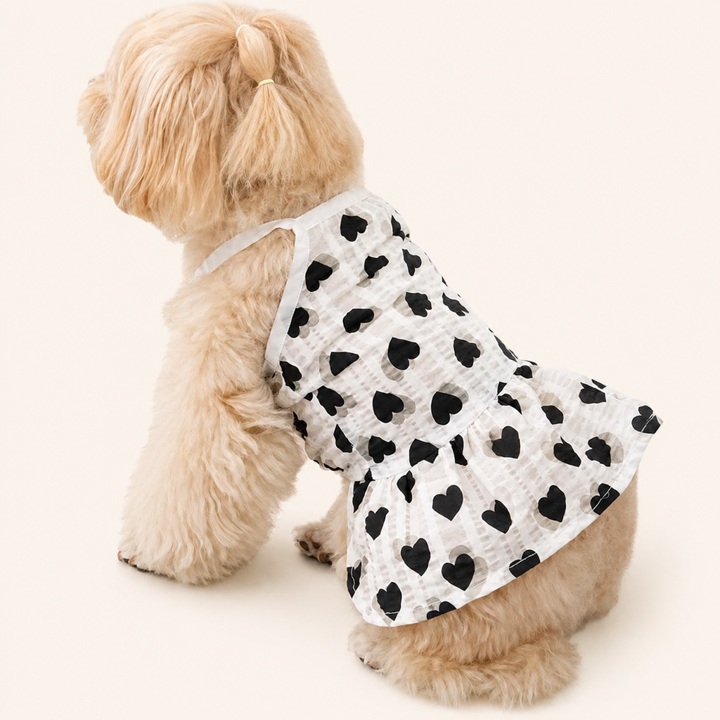 Woofé AmourPop™ Dress 🖤