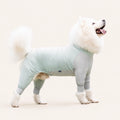 Woofé AirShield™ Lightweight Dog Suit 🛡️