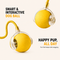 Woofé ZoomBall™ Interactive Dog Toy 🎾