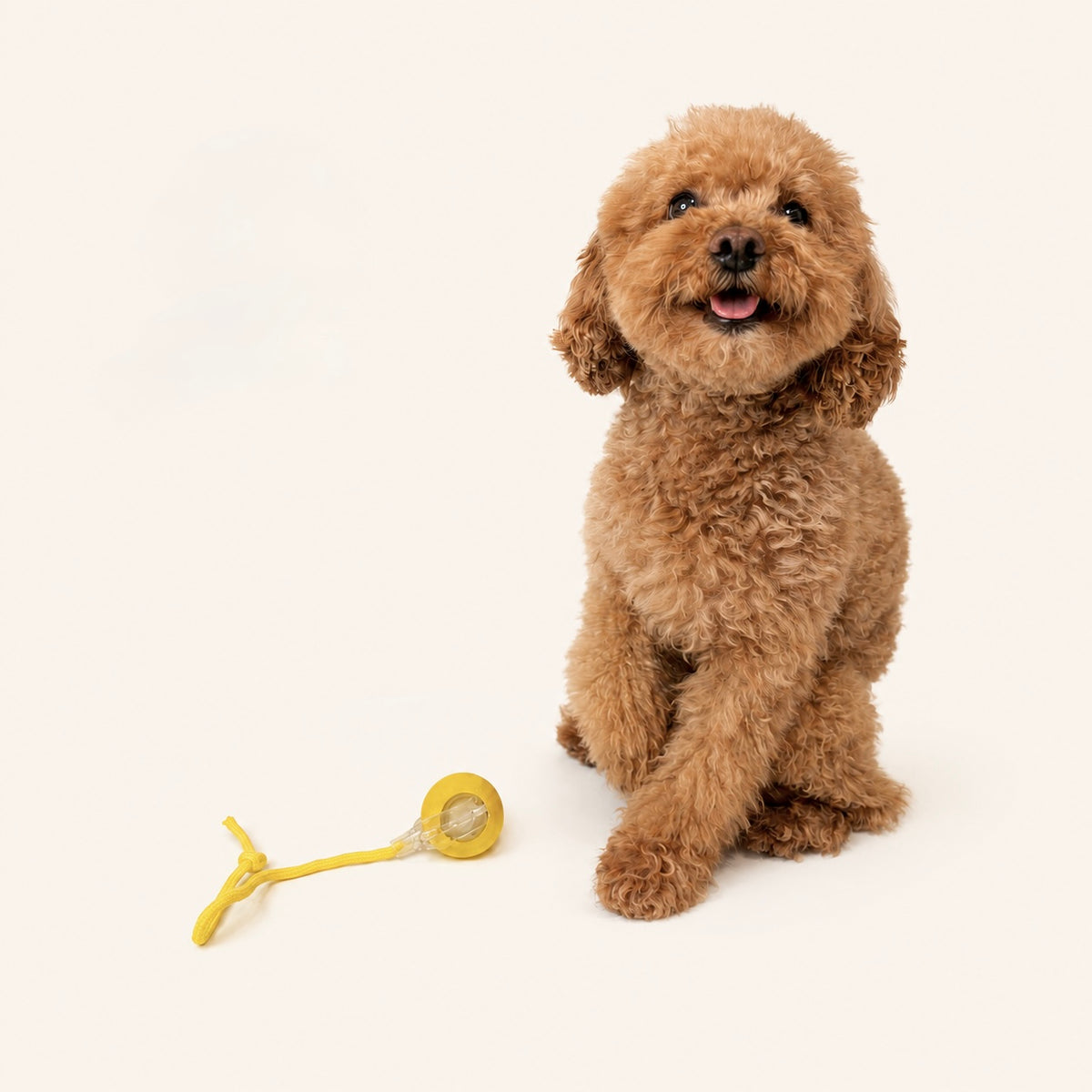 Woofé ZoomBall™ Interactive Dog Toy 🎾
