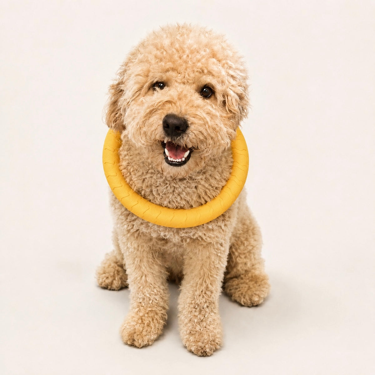 Woofé TugLoop™ Dog Toy 💛