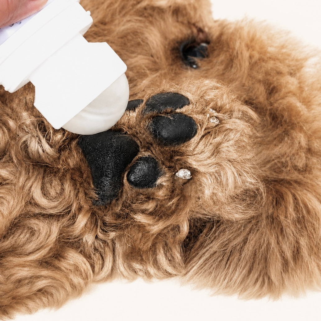 Woofé PawSoft™ Paw Balm 🤍
