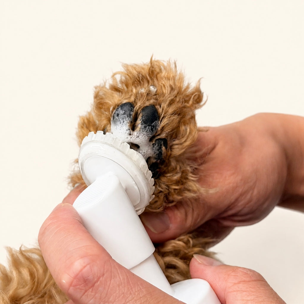 Woofé CleanPaws™ Paw Cleansing Foam – 150 mL 🧼
