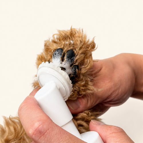 Woofé CleanPaws™ Paw Cleansing Foam – 150 mL 🧼