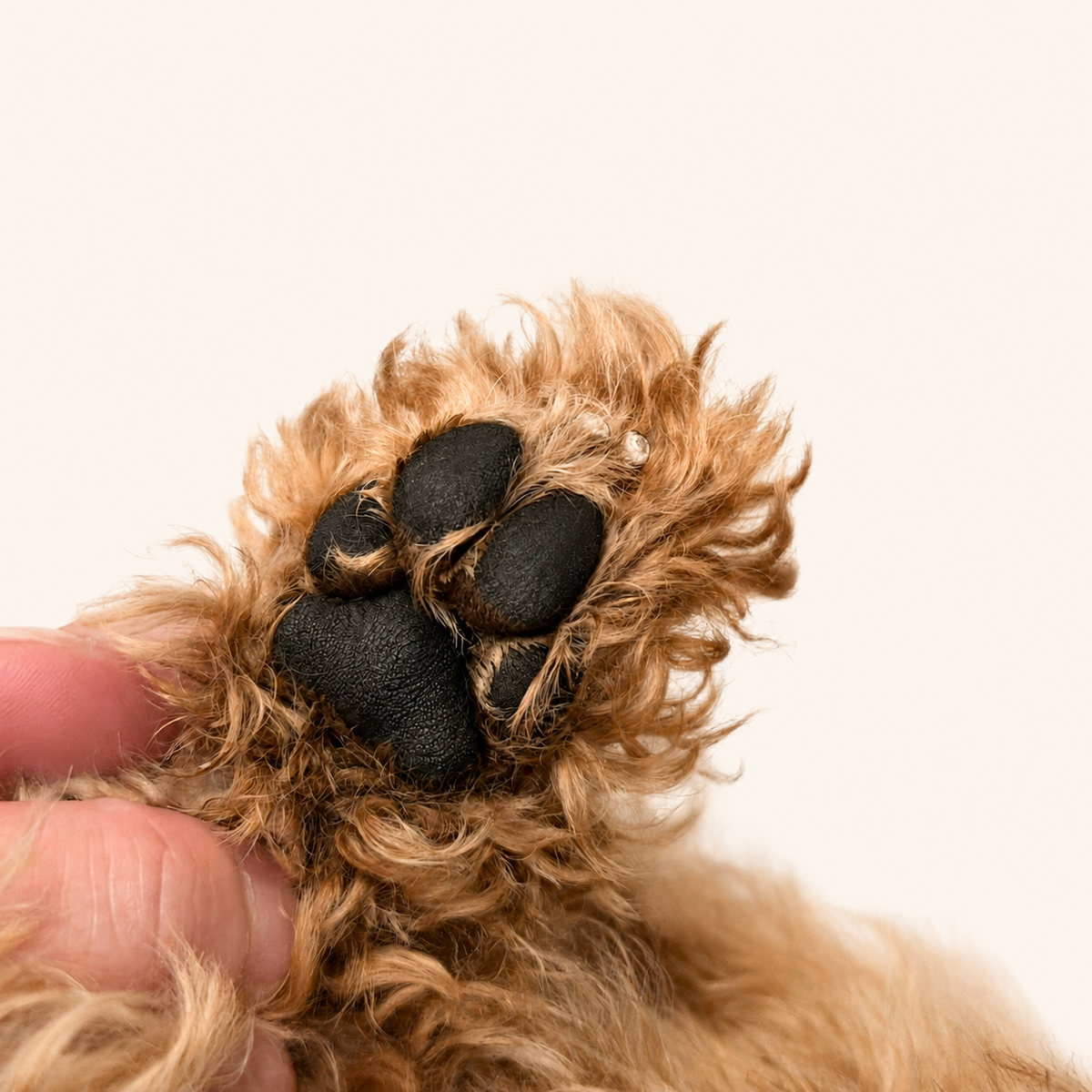 Woofé CleanPaws™ Paw Cleansing Foam – 150 mL 🧼