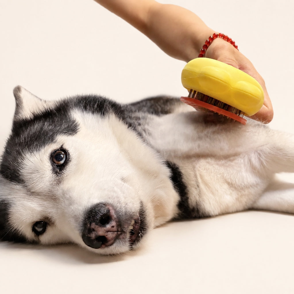 Woofé SunnyPaw™ Self-Cleaning Brush ☀️