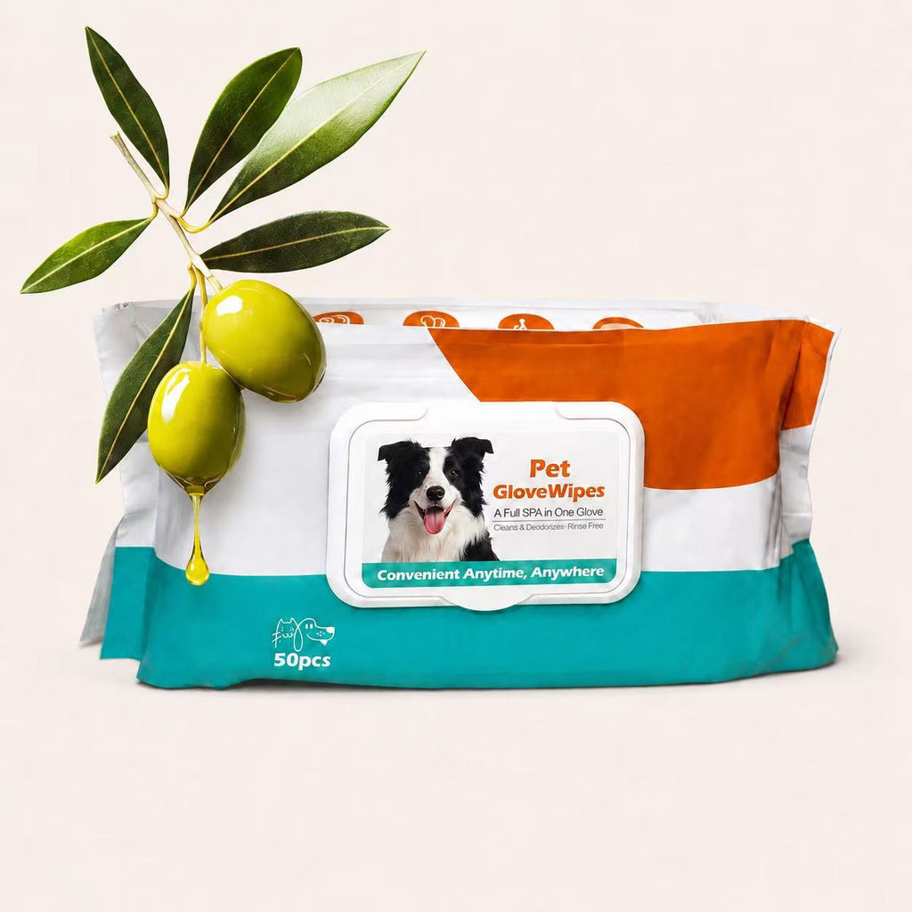 Woofé DailyClean™ No-Rinse Pet Gloves – 50 Pack 🌊