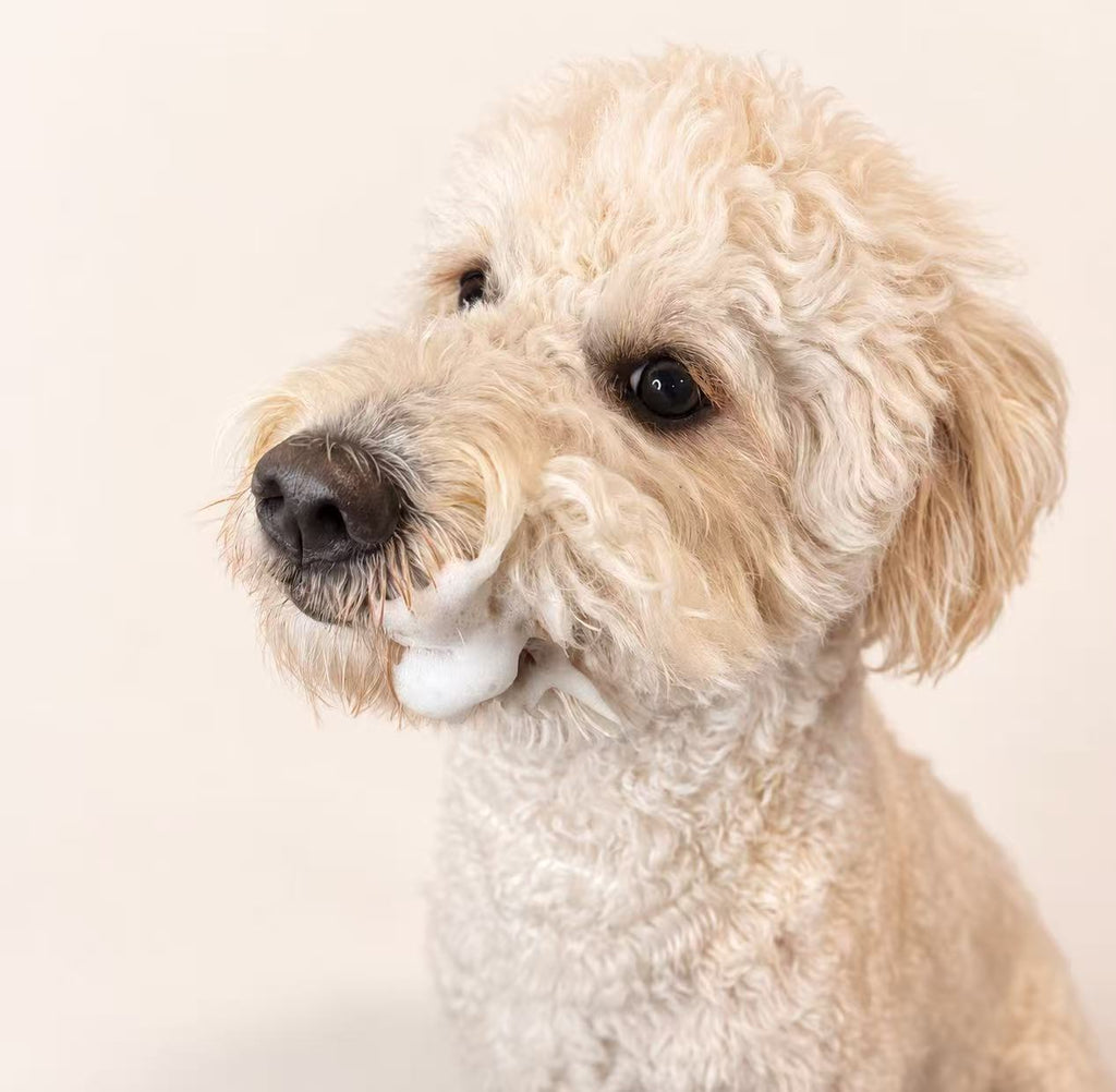 Woofé FreshFace™ Pet Cleansing Mousse 🧽