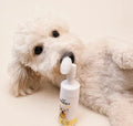 Woofé FreshFace™ Pet Cleansing Mousse 🧽